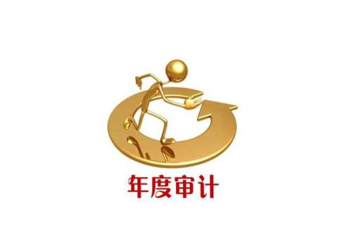 金融審計(jì)翻譯 金融審計(jì)翻譯